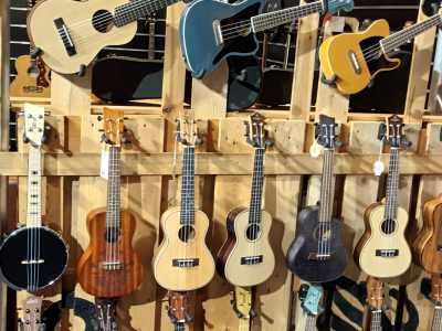 loops magasin musique bretagne saint brieuc guitares acoustiques